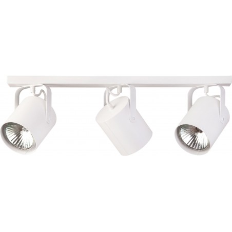 Ceiling Luminaire FLESZ 31117  - 1