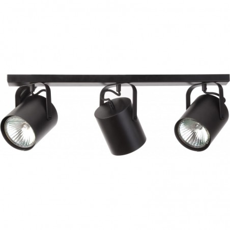 Ceiling Luminaire FLESZ 31230  - 1