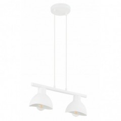 Suspended Luminaire FLOP 32420  - 1