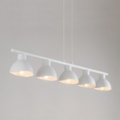 Suspended Luminaire FLOP 32424
