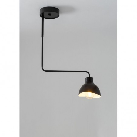 Ceiling Luminaire HOLI 32445