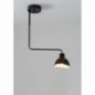 Ceiling Luminaire HOLI 32445