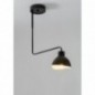 Ceiling Luminaire HOLI 32445