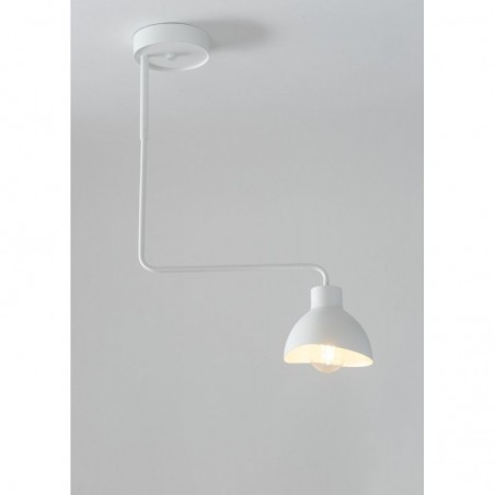 Ceiling Luminaire HOLI 32446