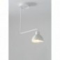 Ceiling Luminaire HOLI 32446