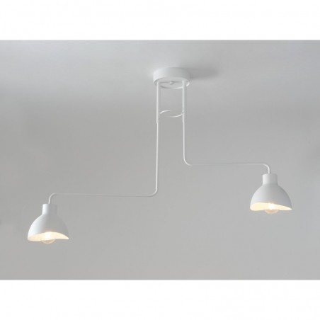 Ceiling Luminaire HOLI 32448