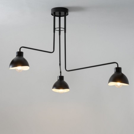 Ceiling Luminaire HOLI 32449