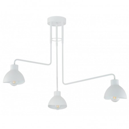 Ceiling Luminaire HOLI 32450  - 1
