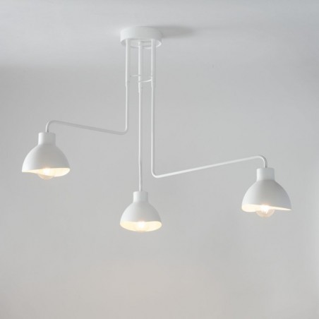 Ceiling Luminaire HOLI 32450