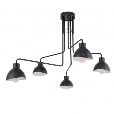 Ceiling Luminaire HOLI 32451  - 1