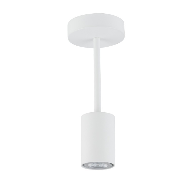 Ceiling Luminaire LUIS 33417