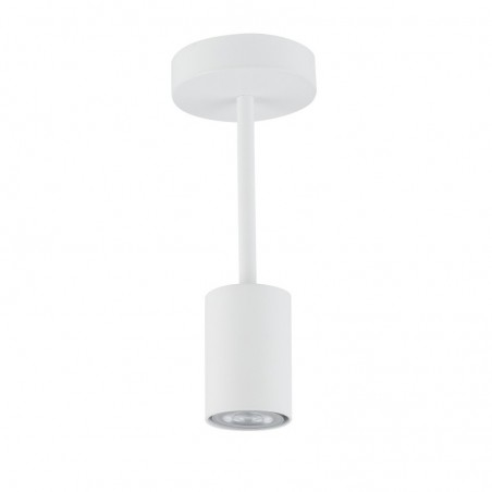 Ceiling Luminaire LUIS 33417  - 1