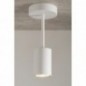 Ceiling Luminaire LUIS 33417