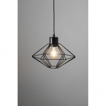 Suspended Luminaire VARIO 40552