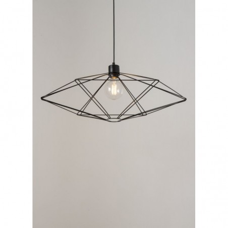 Suspended Luminaire VARIO 40555