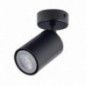 Ceiling Luminaire ZOOM 33309