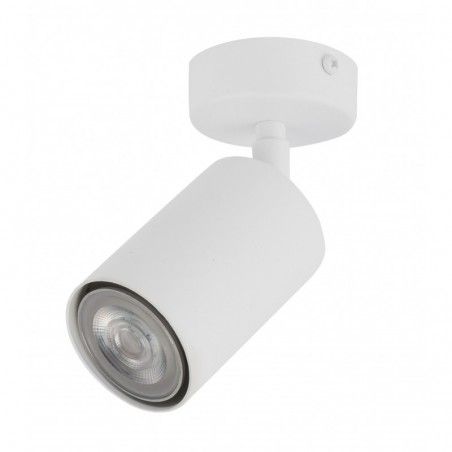 Ceiling Luminaire ZOOM 33314  - 1
