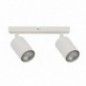 Ceiling Luminaire ZOOM 33315