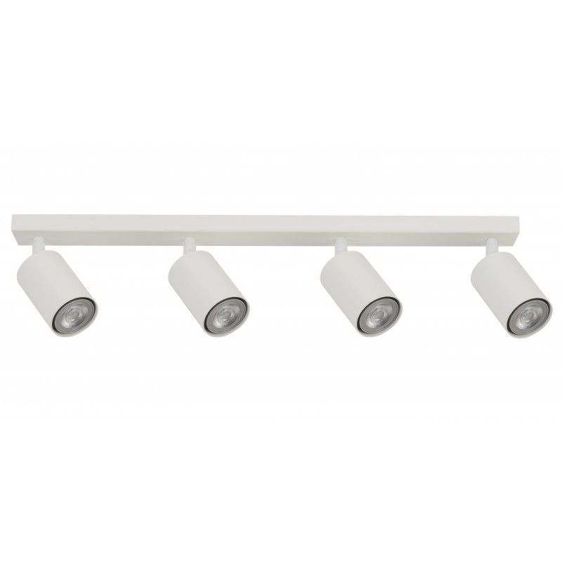Ceiling Luminaire ZOOM 33317