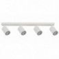 Ceiling Luminaire ZOOM 33317