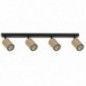 Ceiling Luminaire ZOOM 33322