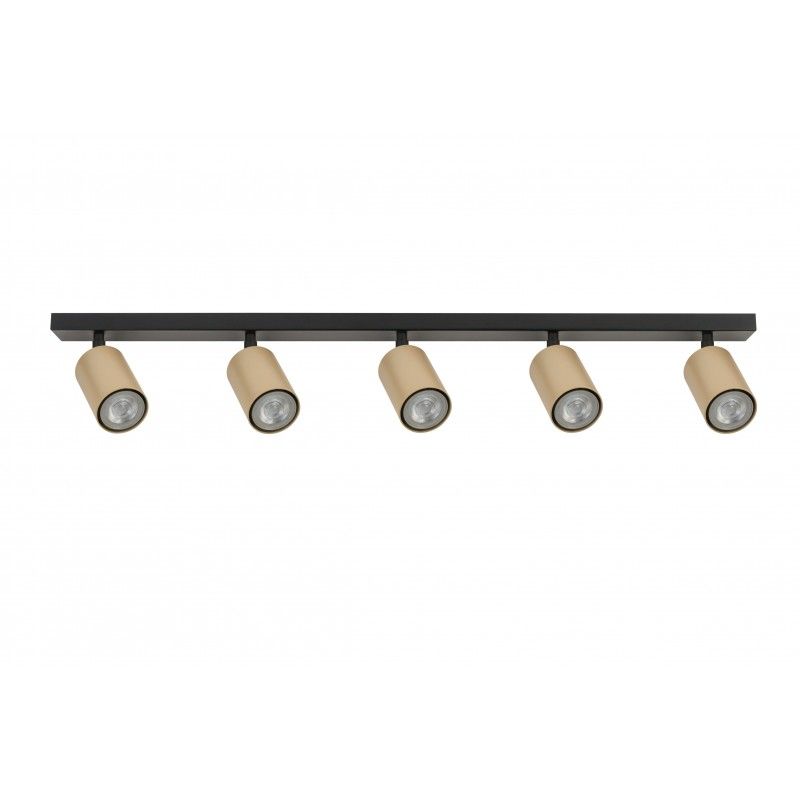 Ceiling Luminaire ZOOM 33323