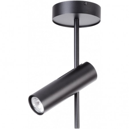 Ceiling Luminaire LEDA 33106