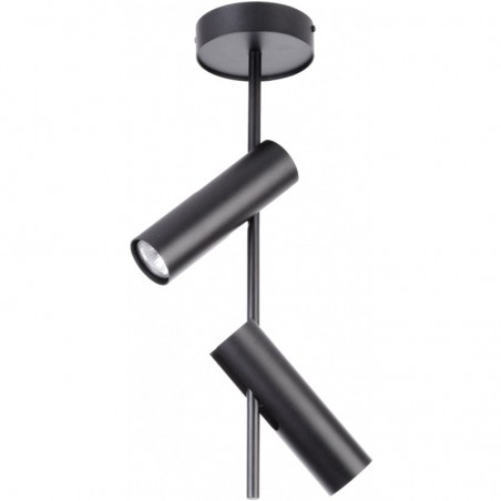 Ceiling Luminaire LEDA 33104  - 1