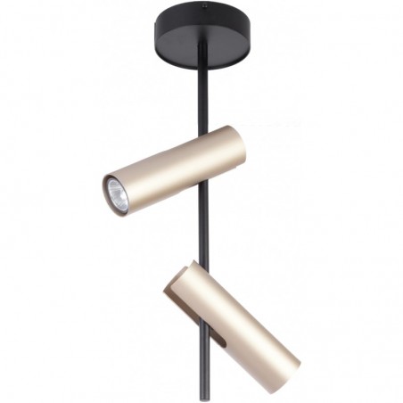 Ceiling Luminaire LEDA 33109  - 1
