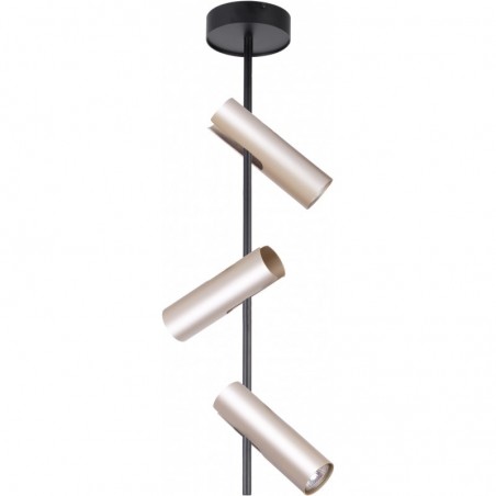 Ceiling Luminaire LEDA 33103  - 1
