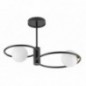 Ceiling Luminaire AQUA 33462