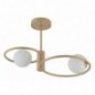 Ceiling Luminaire AQUA 33464