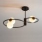 Ceiling Luminaire AQUA 33465