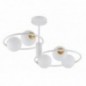 Ceiling Luminaire AQUA 33469