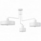 Ceiling Luminaire VASCO 31554