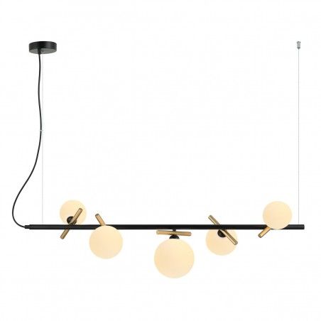 Suspended luminaire Reverso  PND-5622-5-BK-W