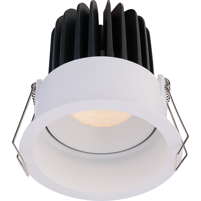 Įmontuojamas reguliuojamas LED šviestuvas ANGELO R1236, 15W, 3000K, 60°, garantija 10 metų  - 1