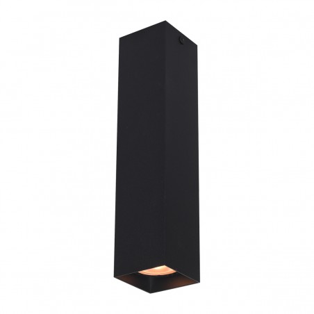 Ceiling luminaire Ander  CLN-28394-L-BK  - 1