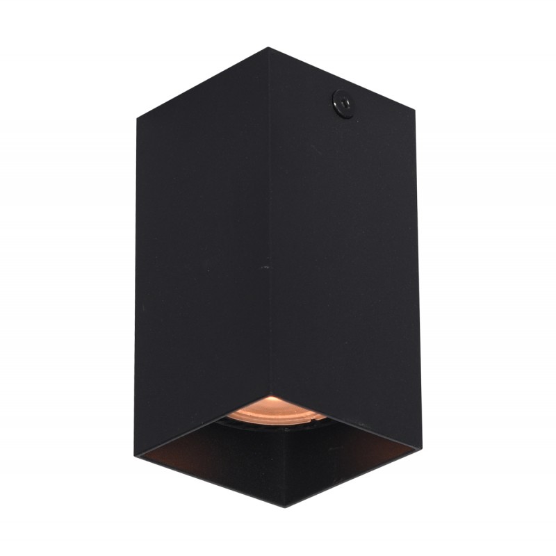 Ceiling luminaire Ander  CLN-28394-S-BK