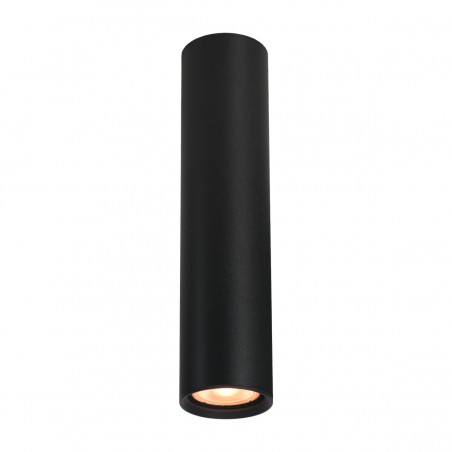 Ceiling luminaire Lopus  CLN-48930-L-BK  - 1