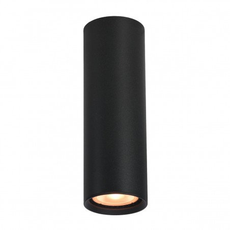 Ceiling luminaire Lopus  CLN-48930-M-BK  - 1