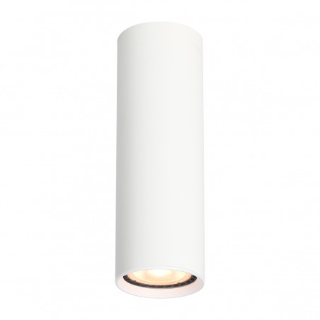 Ceiling luminaire Lopus  CLN-48930-M-WH  - 1