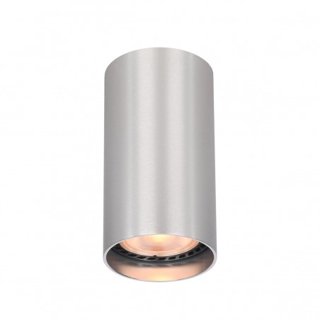 Ceiling luminaire Lopus  CLN-48930-S-ALU  - 1