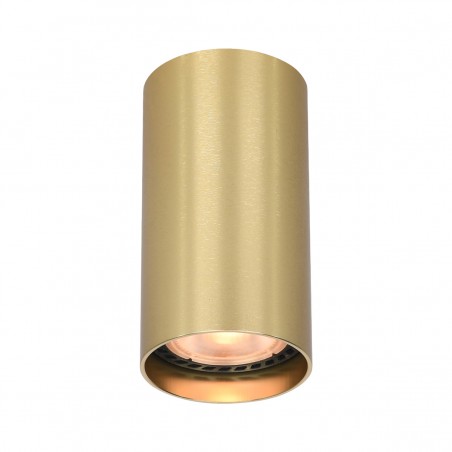 Ceiling luminaire Lopus  CLN-48930-S-GD  - 1