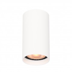 Ceiling luminaire Lopus  CLN-48930-S-WH  - 1