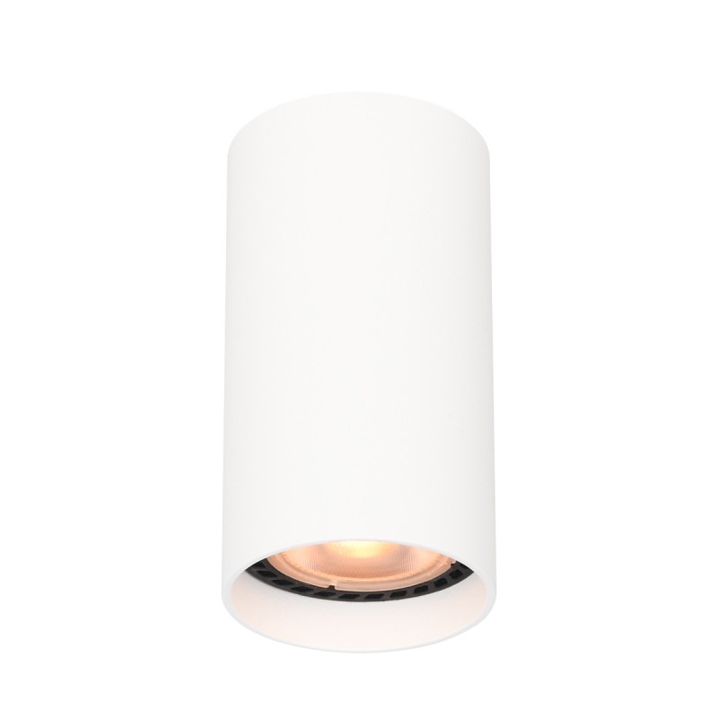 Ceiling luminaire Lopus  CLN-48930-S-WH