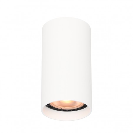 Ceiling luminaire Lopus  CLN-48930-S-WH  - 1