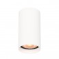 Ceiling luminaire Lopus  CLN-48930-S-WH