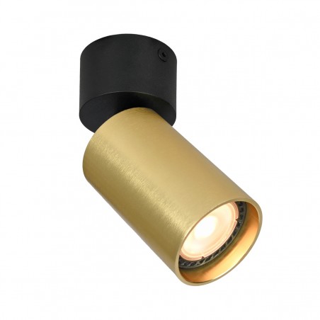 Ceiling luminaire Nesto  SPL-23436-1R-BK-BRSS  - 1