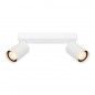Ceiling luminaire Nesto  SPL-23436-2-WH